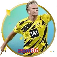 sam86